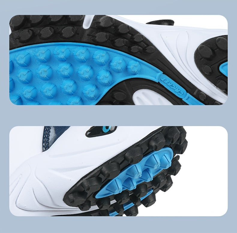 description_selected15